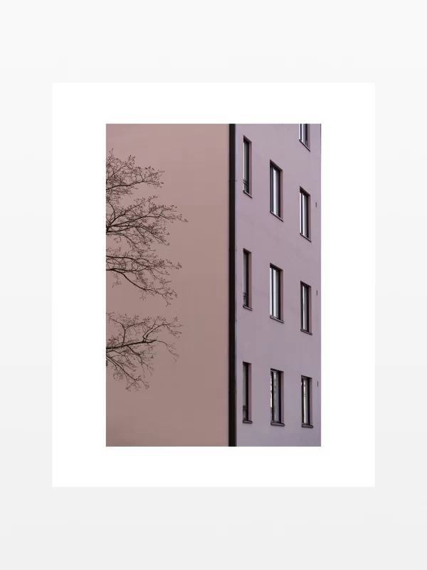 Oksat - Seinä - Ikkunat
